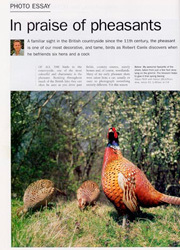 Outdoor Photography article
