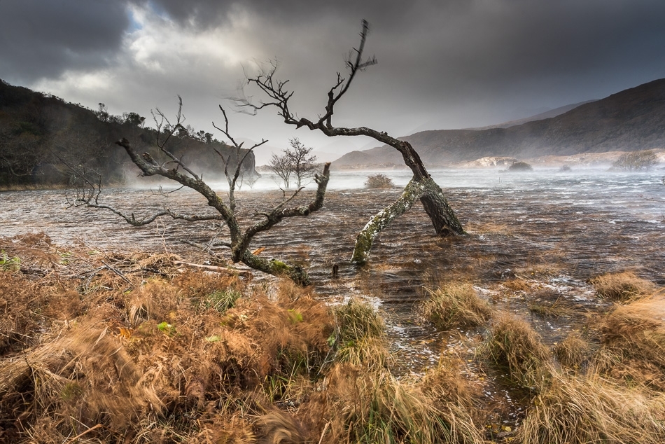 Storm Abigail Killarney National Park