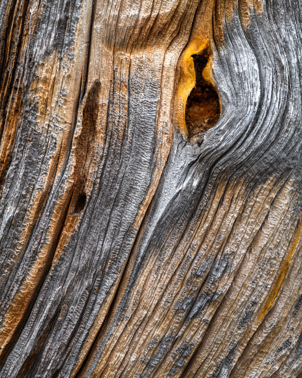 Anderdalen bark