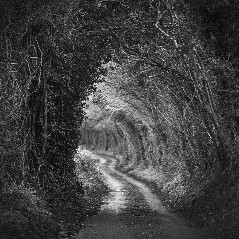 Lanes