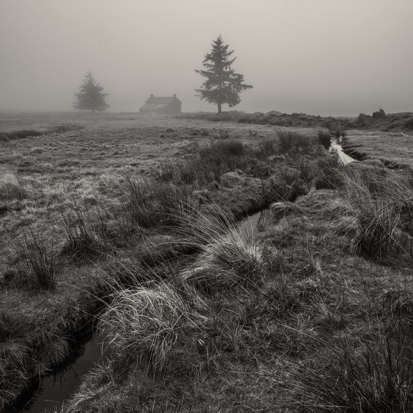 cottage l to r diag mist