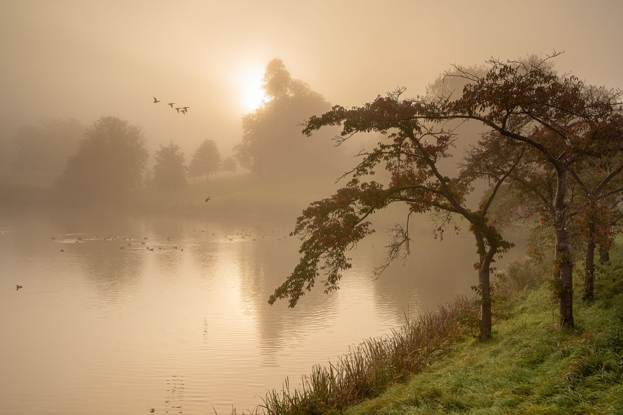 Leeds Castle