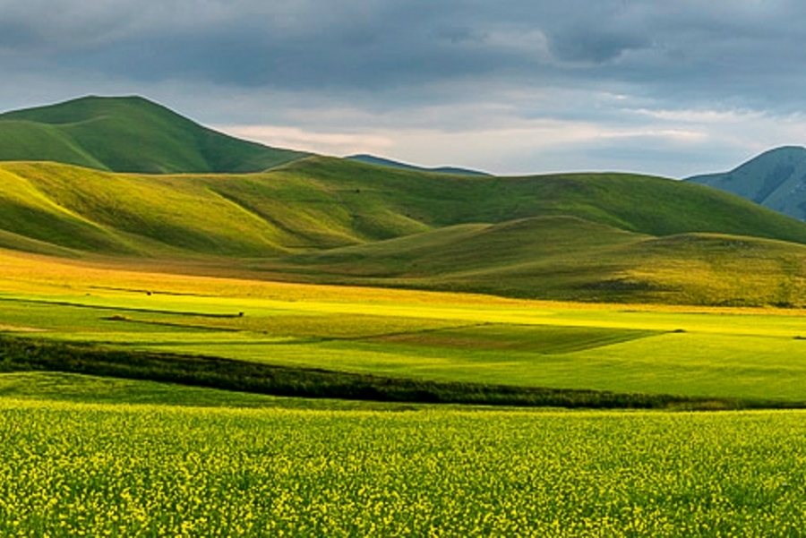 La Fioritura, Umbria #2