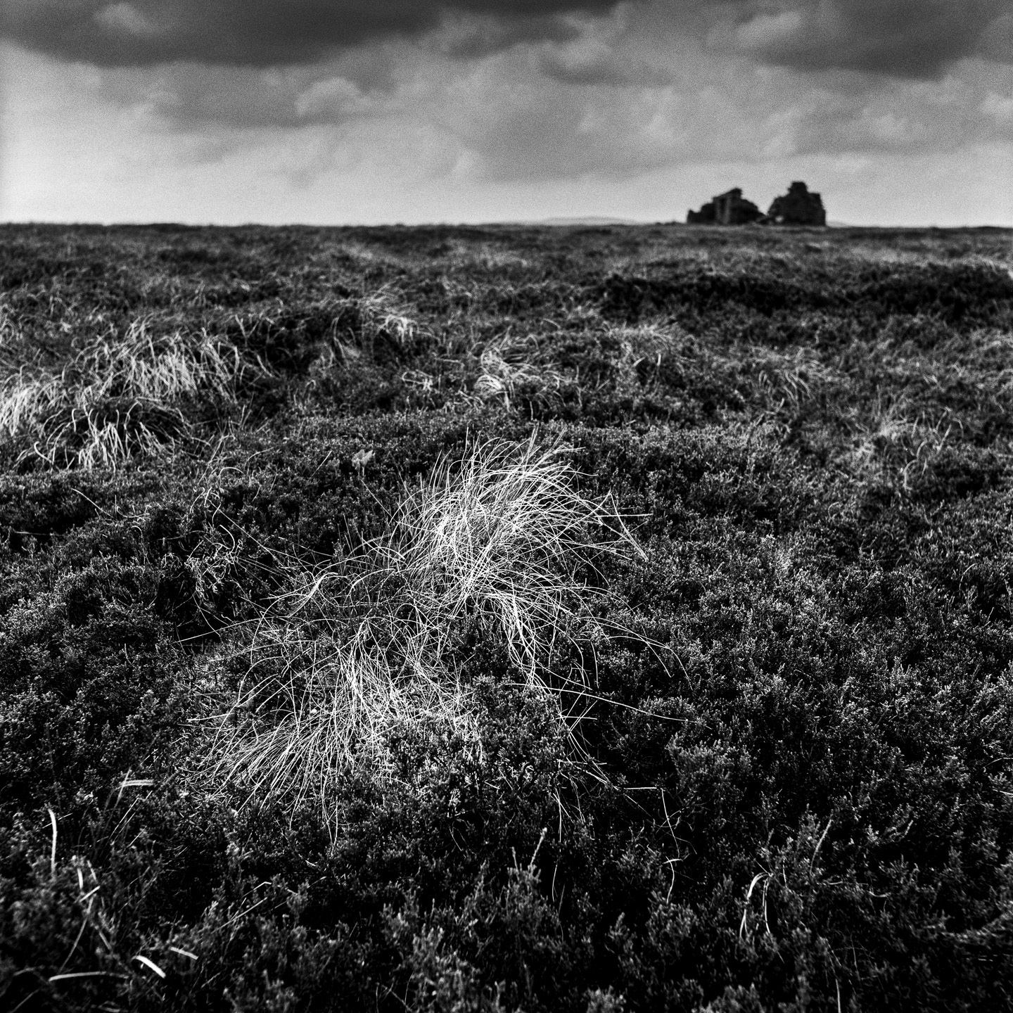dales ruin