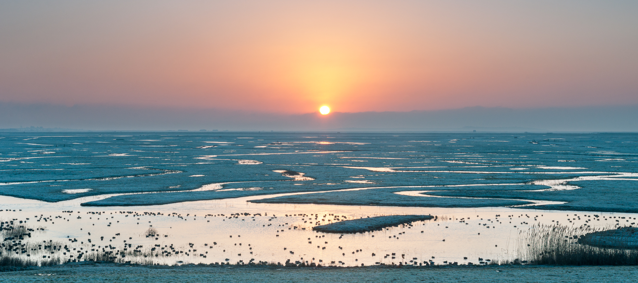 A flooded Elmley Nature Reserve at sunrise.