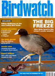 Birdwatch magazine cover