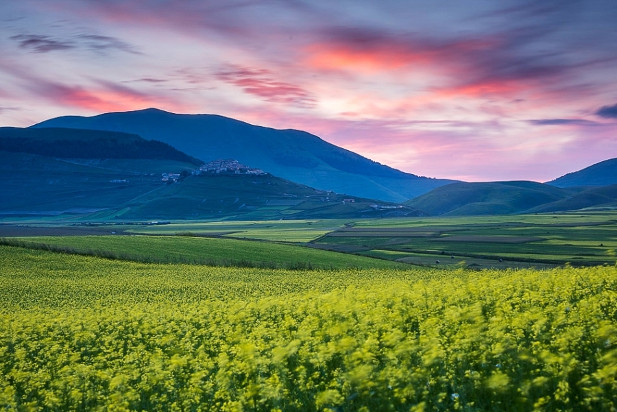La Fioritura, Umbria #12