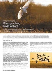 Outdoor Photography - Quick Guide