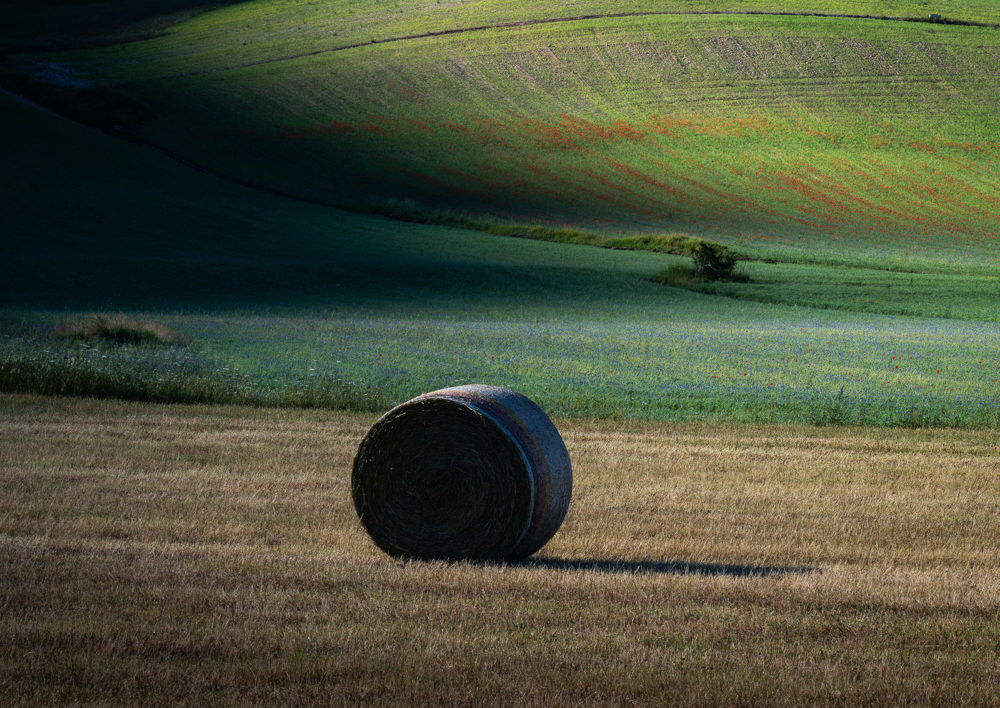 Umbria hay bale fields