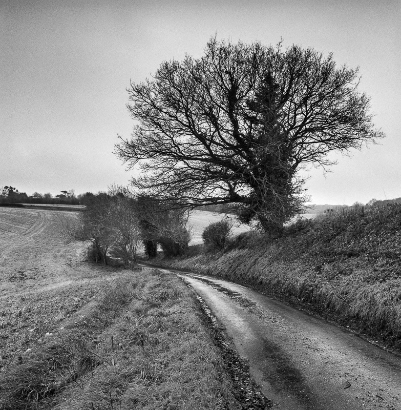 Lanes