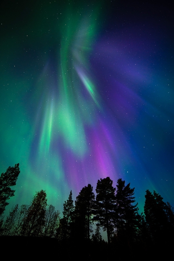 Northern Lights, Finland #11