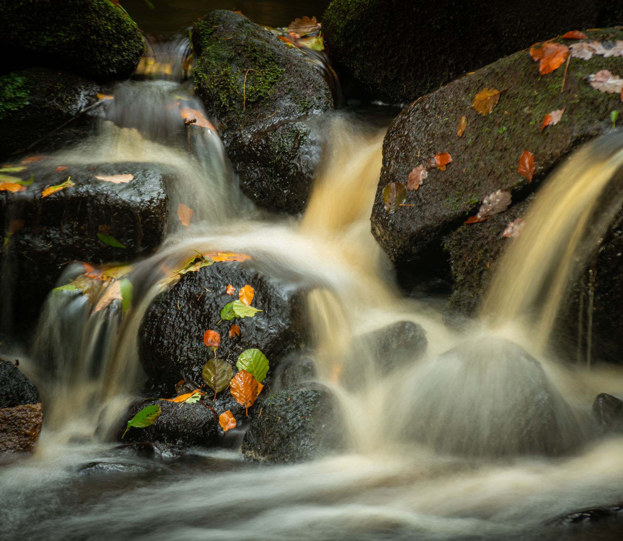 Flow: PD stream