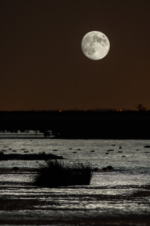 Rising over Oare