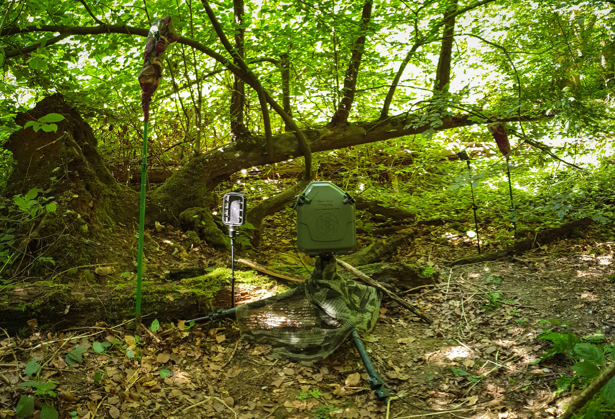 Camera Trapping