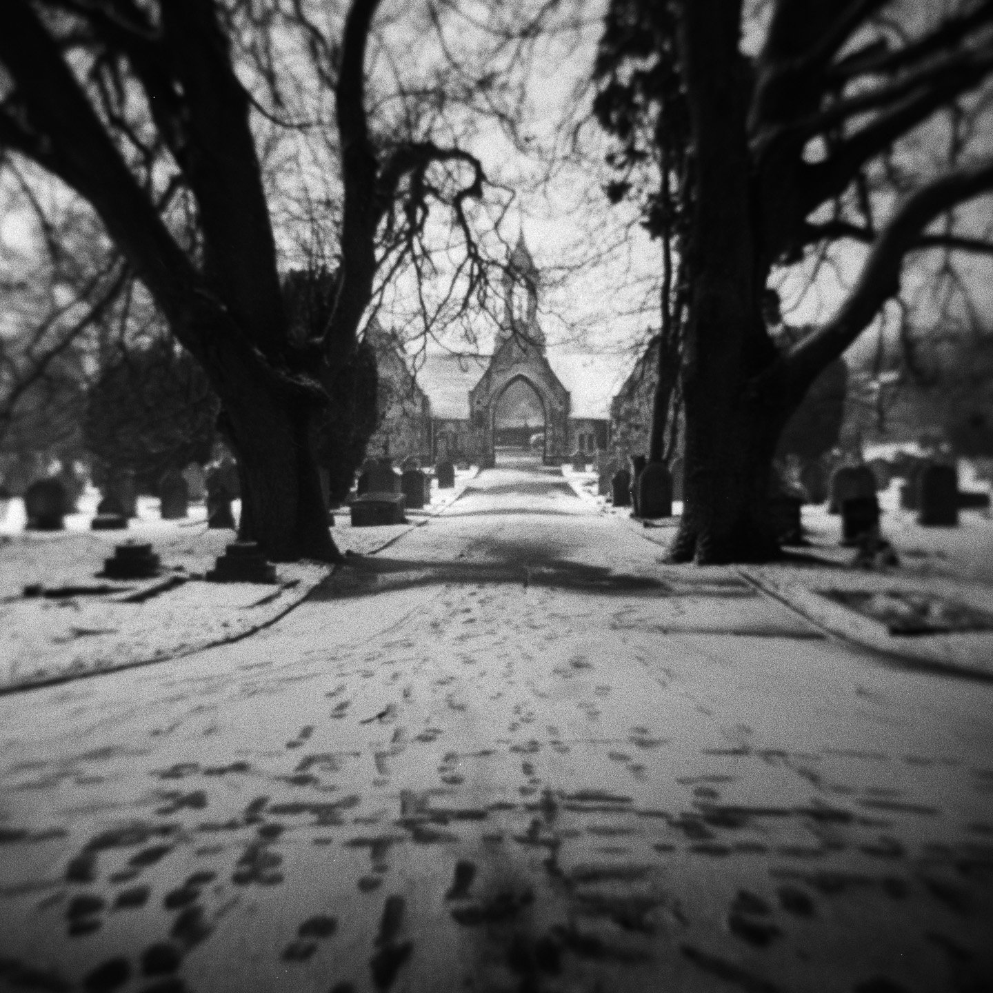 Cemetery snow