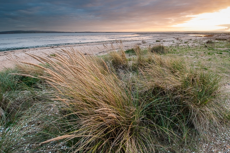 Shellness beach sunrise