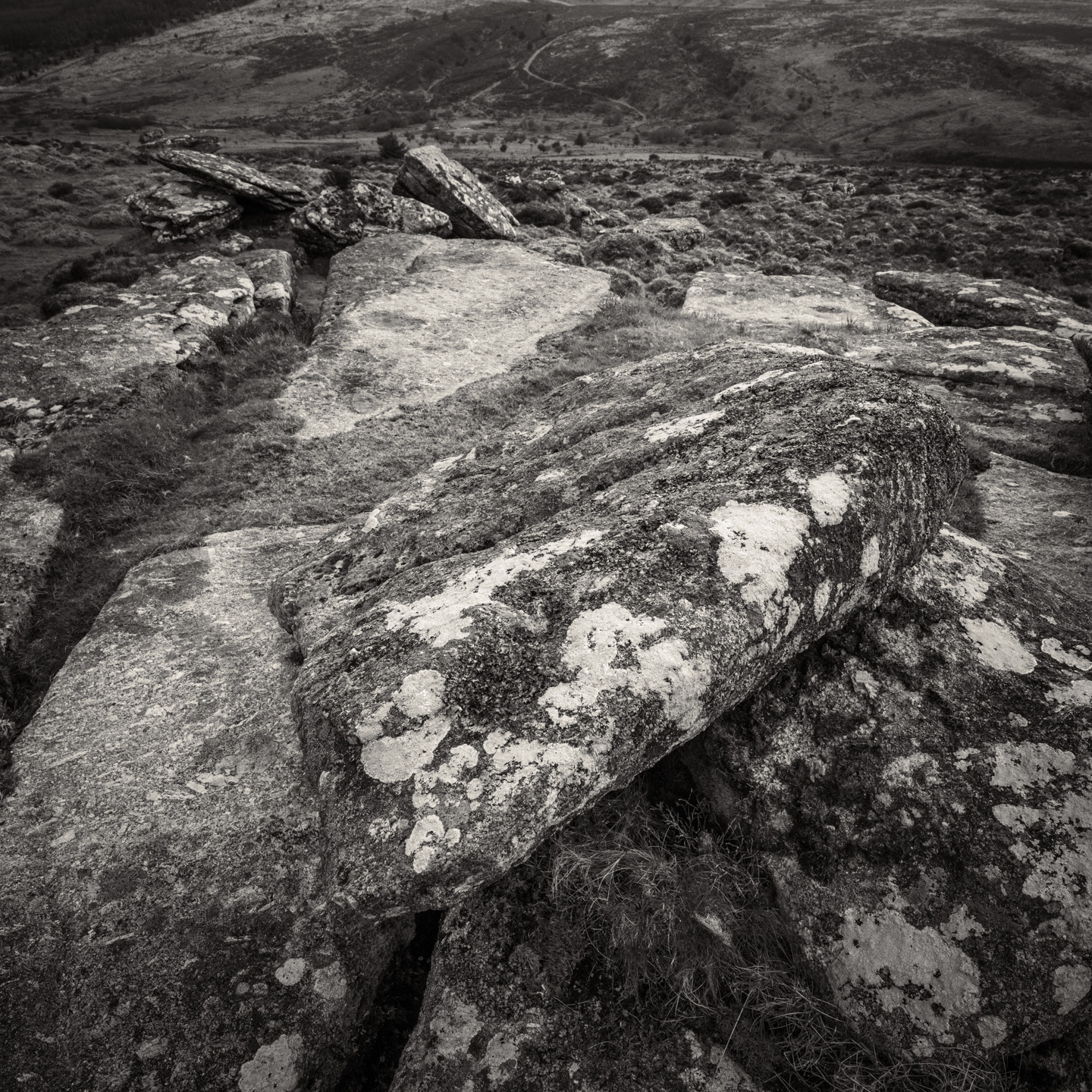 rocks