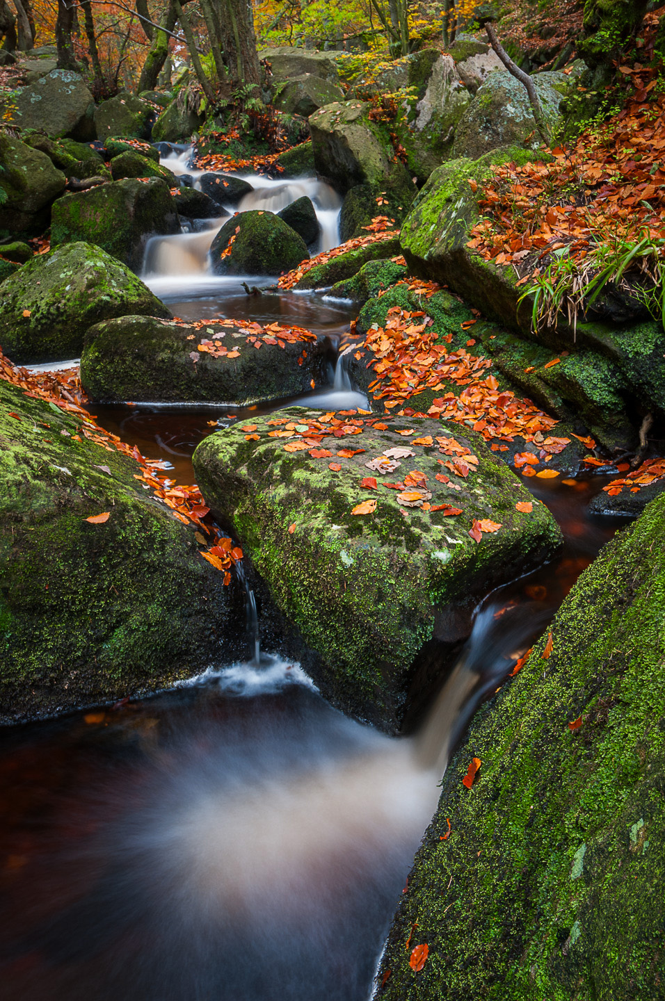 Padley