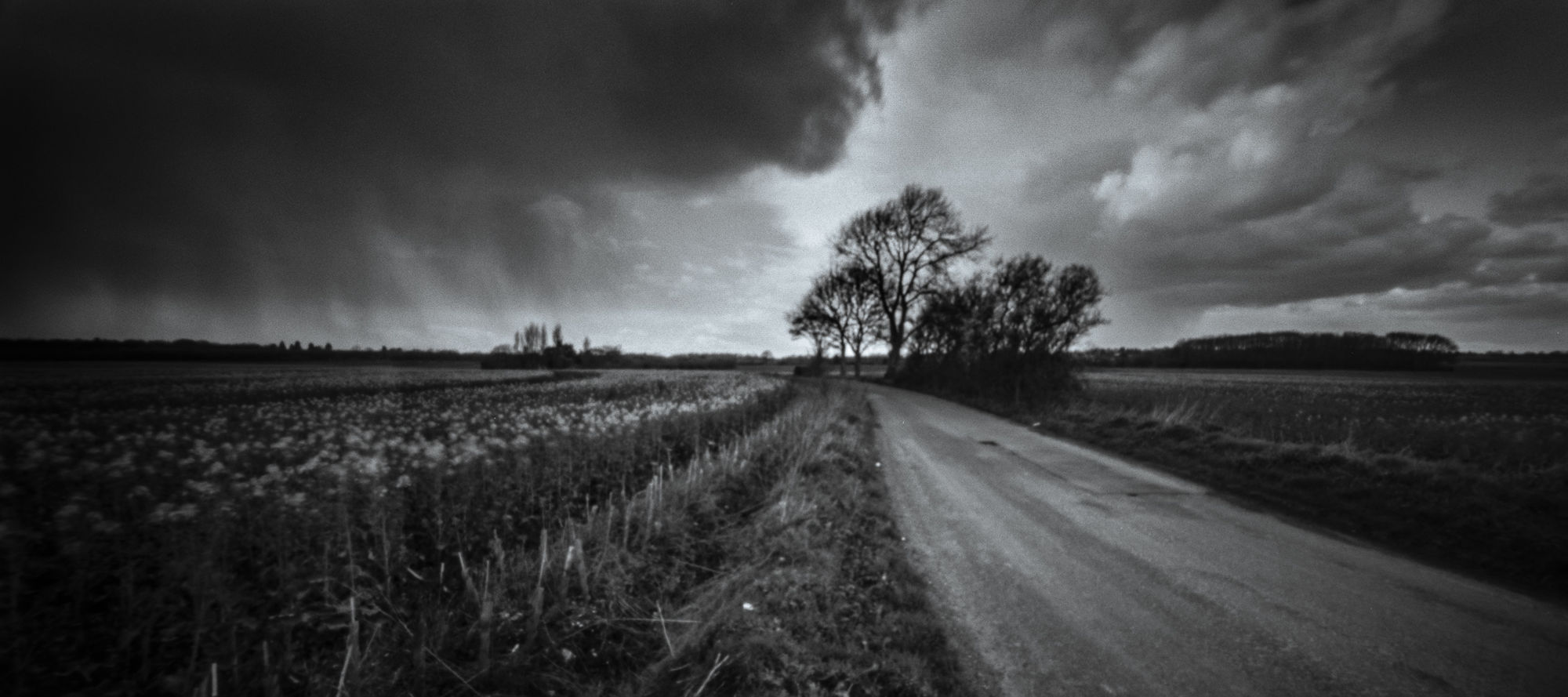 Lane storm